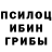 Псилоцибиновые грибы Cubensis A Elejaga