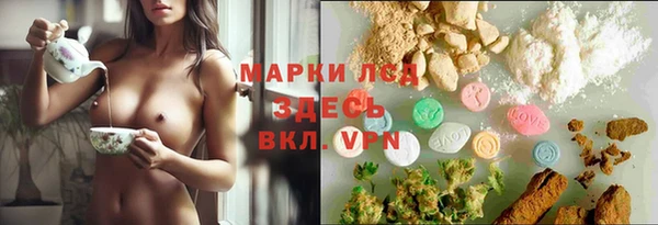 мдма Новозыбков