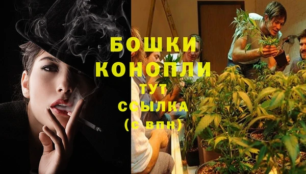 ALPHA-PVP Новодвинск