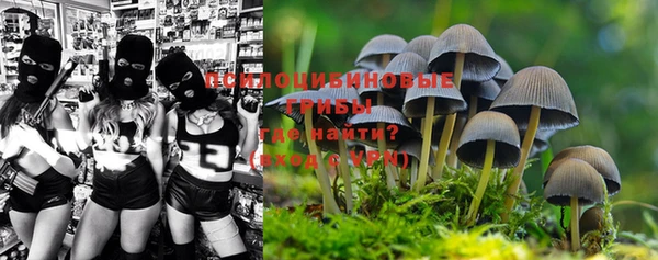 ALPHA-PVP Новодвинск